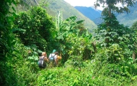 New tourist route in the jungle of Cusco